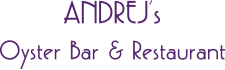 andrejs-logo